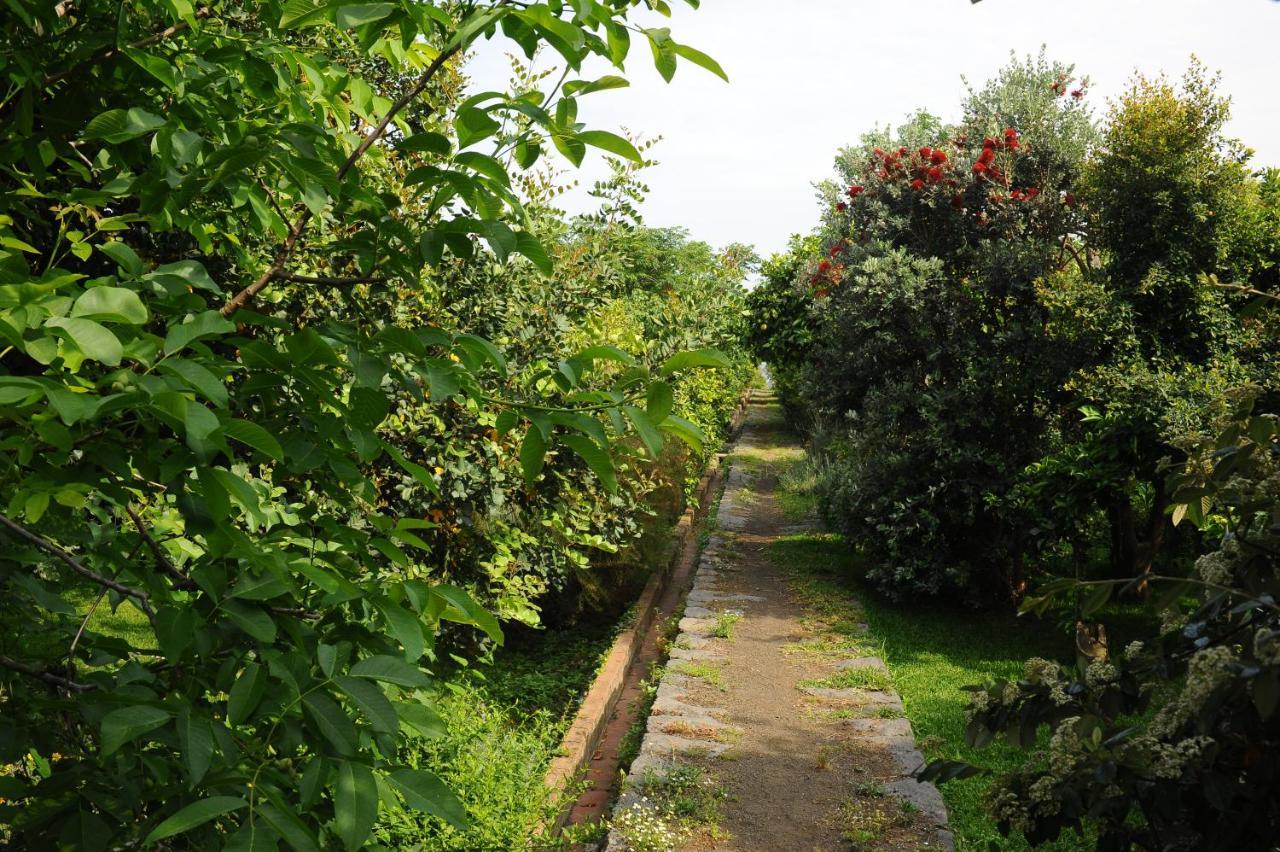 Tenuta Santa Tecla Acireale Exteriör bild