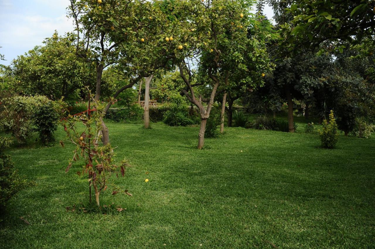 Tenuta Santa Tecla Acireale Exteriör bild